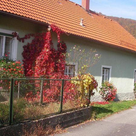 Ferienwohnung Haus Gerstbauer Aggsbach Exterior foto